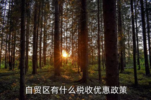  自貿區有什么稅收優惠政策