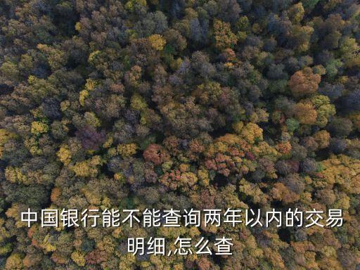 中國銀行能不能查詢兩年以內的交易明細,怎么查