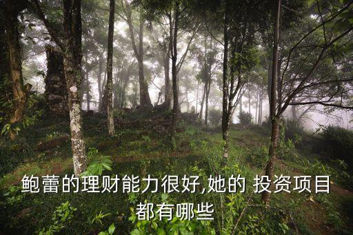 鮑蕾的理財能力很好,她的 投資項(xiàng)目都有哪些