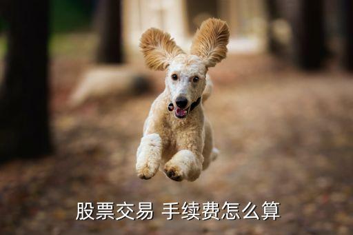 1000元股票手續費,買1000元股票手續費總共是多少錢
