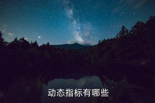 動態投資決策不包括,屬于動態項目投資決策指標的有