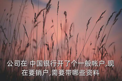 公司在 中國銀行開了個一般帳戶,現在要銷戶,需要帶哪些資料