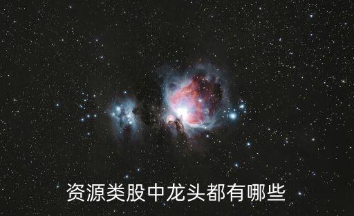 貴州鉑業股票,西南能礦貴州錳業股票