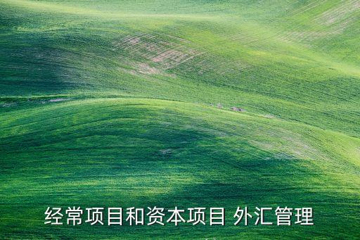 經常項目和資本項目 外匯管理