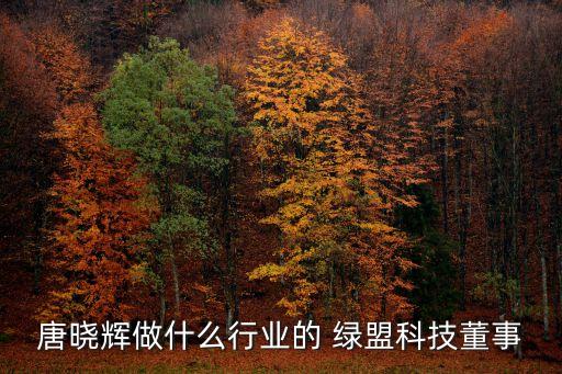 唐曉輝做什么行業的 綠盟科技董事