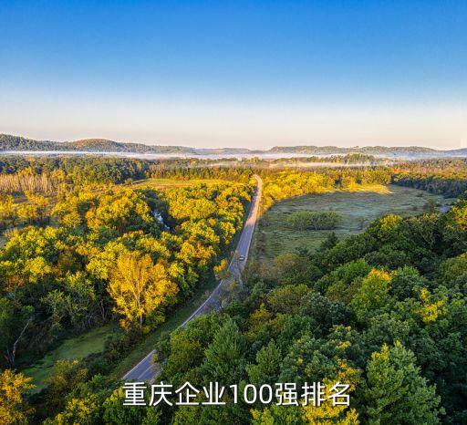 重慶鈺鑫實業集團有限責任公司