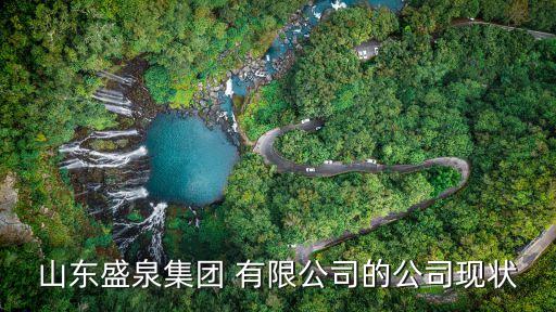 廣東盛裕資產管理有限公司,廣東能潤資產管理有限公司是國企嗎
