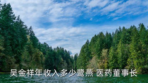 吳金祥年收入多少鷺燕 醫藥董事長