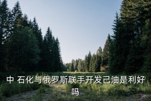 中 石化與俄羅斯聯手開發己油是利好嗎