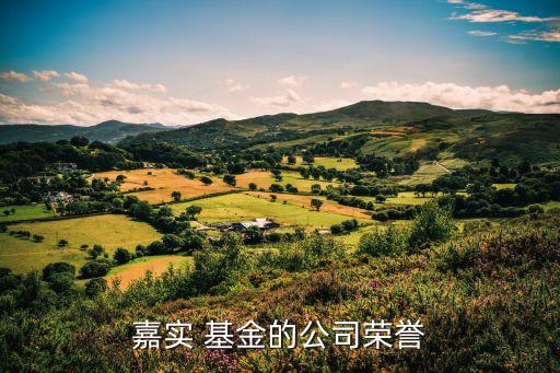 中國基金業英華獎名單