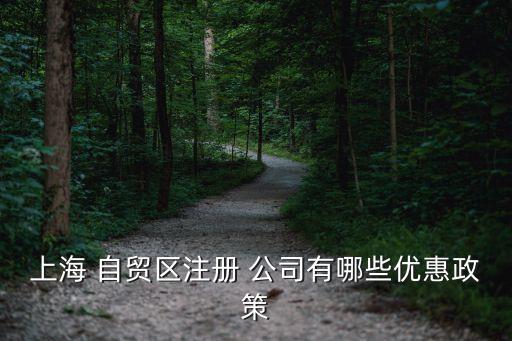 自貿區公司要年檢嗎,上海自貿區車輛年檢地址