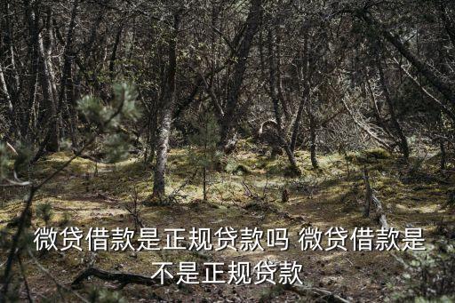  微貸借款是正規貸款嗎 微貸借款是不是正規貸款