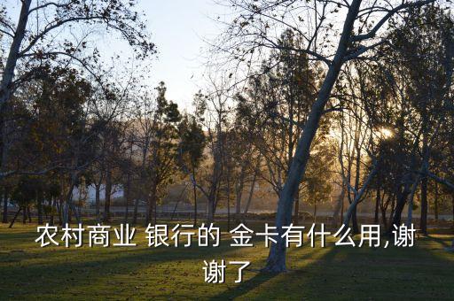農村商業 銀行的 金卡有什么用,謝謝了