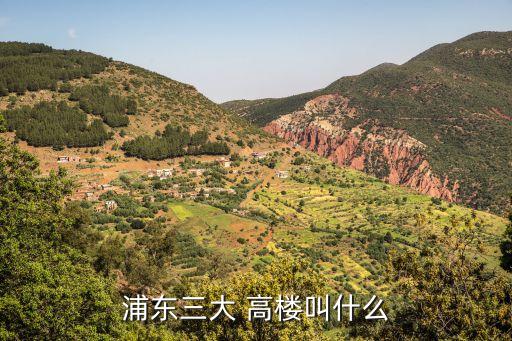 外國網友評論上海高樓
