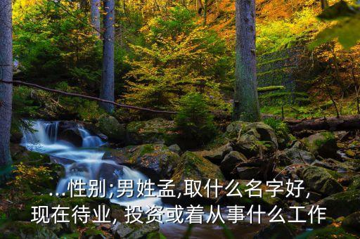 弘孟投資咨詢有限公司,深圳市銀河世紀投資咨詢有限公司