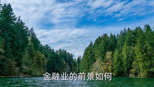  金融業的前景如何