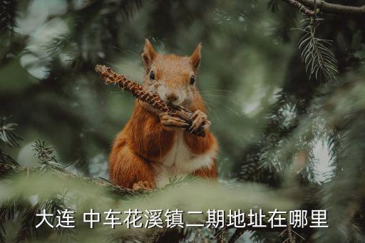 大連 中車花溪鎮二期地址在哪里