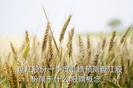 ...盤江股份一季度業績預測盤江股份屬于什么 股票概念