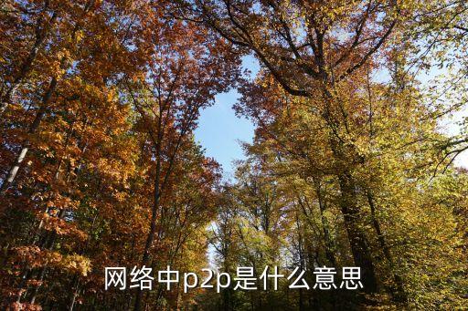 網絡中p2p是什么意思