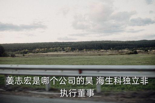 姜志宏是哪個公司的昊 海生科獨立非執行董事