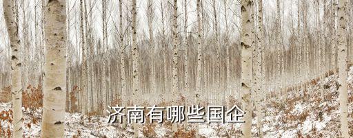 山東魯北企業集團有限公司