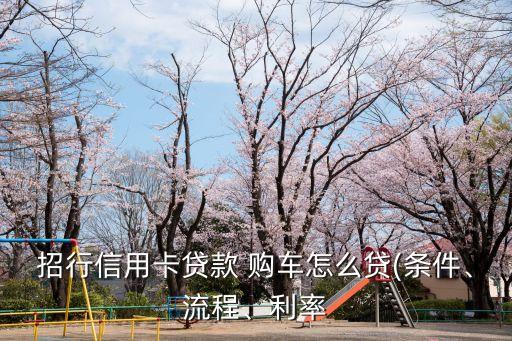招行信用卡貸款 購車怎么貸(條件、流程、利率