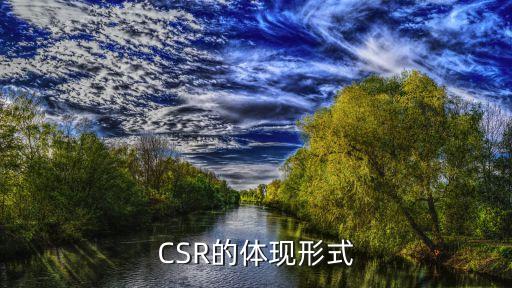 CSR的體現形式