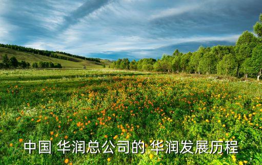 中國 華潤總公司的 華潤發展歷程