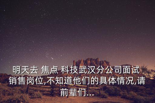 焦點科技股份有限公司銷售怎么樣,南京焦點科技股份有限公司