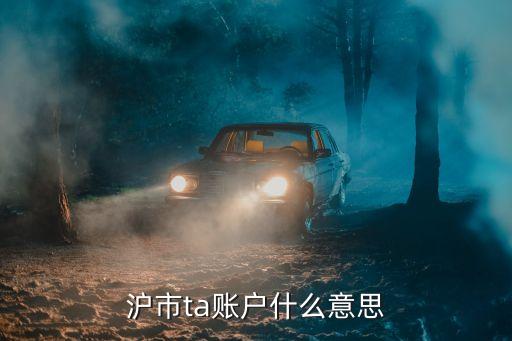 滬市ta賬戶(hù)什么意思