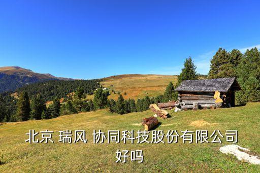 北京瑞風協同