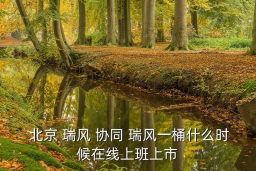  北京 瑞風 協同 瑞風一桶什么時候在線上班上市