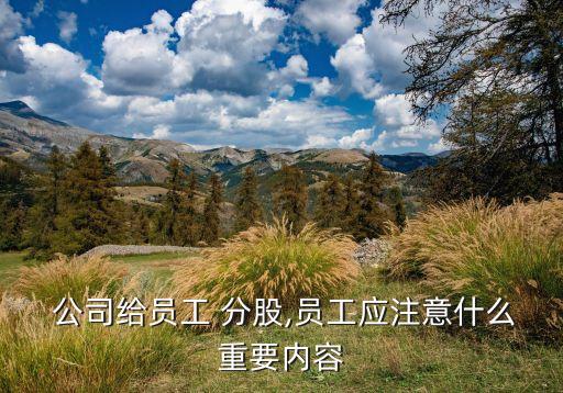 公司分股合同范本,暗股協議合同范本
