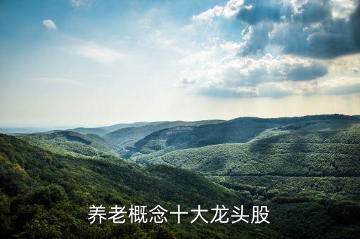 養老概念十大龍頭股