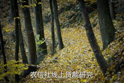 農信社線上貸款研究