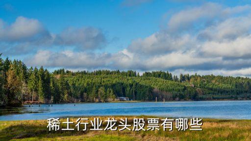 稀土行業龍頭股票有哪些
