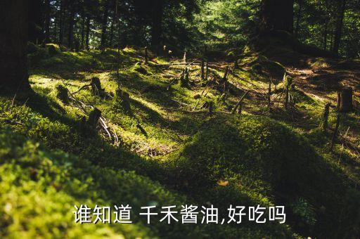 千禾味業食品股份有限公司,四川千禾味業食品股份有限公司