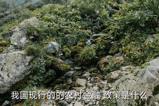 我國現行的的農村金融 政策是什么