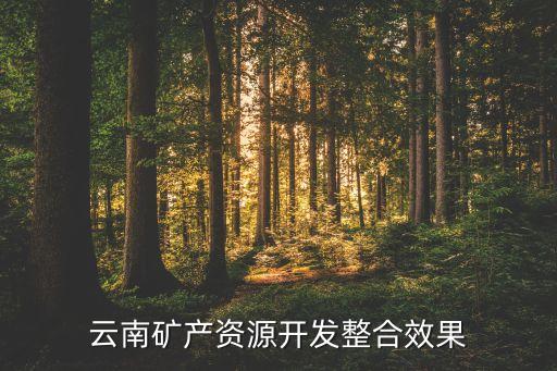 云南礦產資源開發整合效果