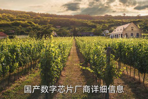 國產數字芯片廠商詳細信息