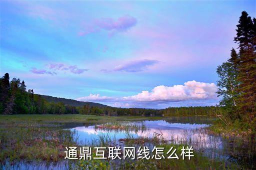  通鼎互聯網線怎么樣
