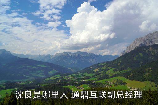 沈良是哪里人 通鼎互聯副總經理