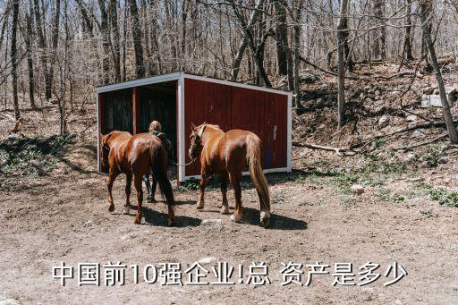 中國前10強企業!總 資產是多少