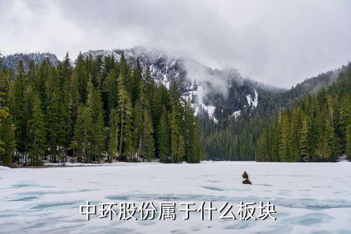 中環股份屬于什么板塊