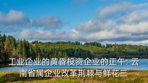 工業企業的黃昏投資企業的正午: 云南省屬企業改革荊棘與鮮花三