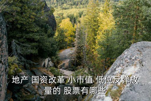文創科技股票,中際旭創科技股票