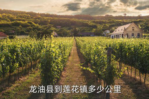  龍油縣到蓮花鎮多少公里