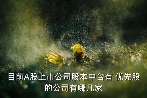 目前A股上市公司股本中含有 優先股的公司有哪幾家