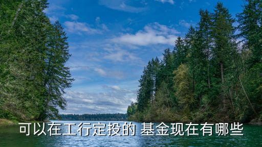 可以在工行定投的 基金現在有哪些