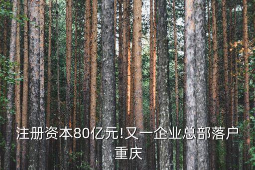 注冊資本80億元!又一企業總部落戶 重慶